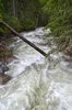Mountain Creek 1