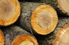fire wood