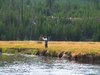 Man fly fishing