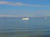 Summer Calm