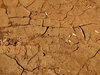 dry and cracked3
