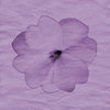 paper flower