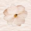 paper flower