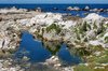 Rockpool reflections