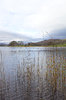 Moody lake