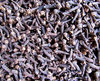 cloves in bulk2