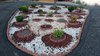 Rock Garden