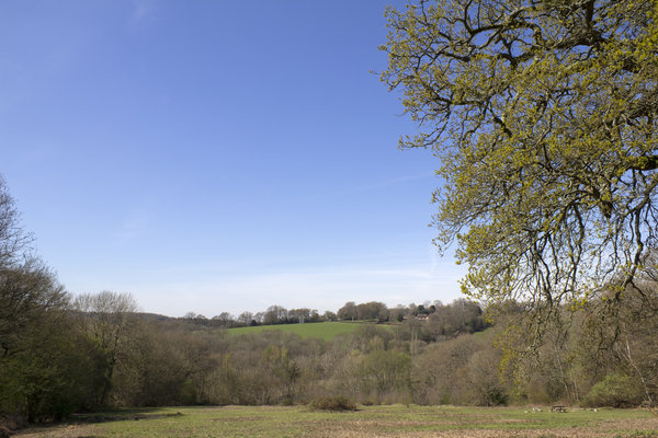 Spring Sussex