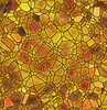 Stained Glass
