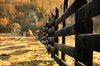 Country Fence