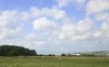 Gentle summer landscape