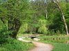 path to bridge