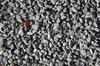 Grey stones
