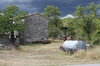 Farm on a stormy day