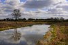Dutch landscape