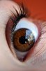 Brown Eye Close Up