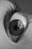 Brown Eye Close Up