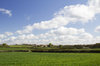 Farmland in spring