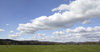 Sheep meadow landscape