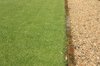 Edge of a grass lawn