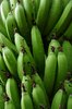 Green bananas