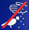 don't feed the birds