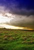 Before the Storm