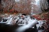Frozen Autumn Waterfall