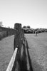 Fence