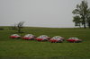 Red Cars