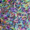 Fractal Background 2