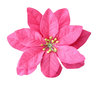 Plastic flower