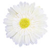 A flower