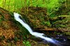 Summer Waterfall