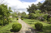 Garden path