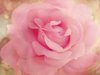 Just for you