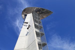 Ants tower