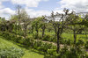 Garden pergola in spring