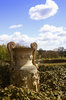 Greek Urn