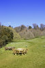 Picnic Area