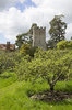 Rural orchard and garden