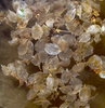Dirty Water