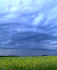 July Storm