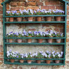 Flower display