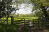 Field gate in spring