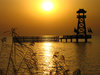 Golden Sunset