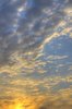Morning sky scape
