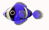A Little Fish 4