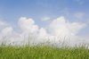 Dutch landscape