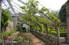 Garden trellis